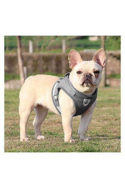 FloriaShopping Breathable Reflective Body Collar for Dogs and Cats