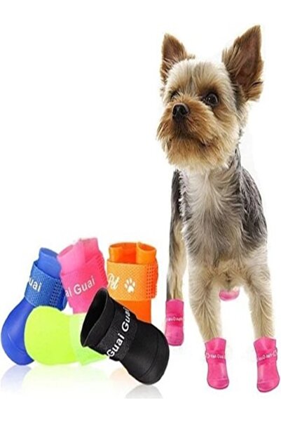 pelipet Silikon Köpek Ayakkabısı Köpek Yürüyüş Ayakkabısı