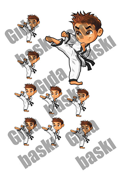 Lyroni Yenilebilir Şeker Kağıdı Karate Temalı Pasta Süsleme