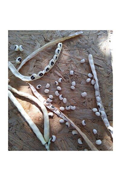 BereketliBahçem Ata Tohumu Yerli Karnıkara - Börülce Tohumu (25 adet) (Oturak)