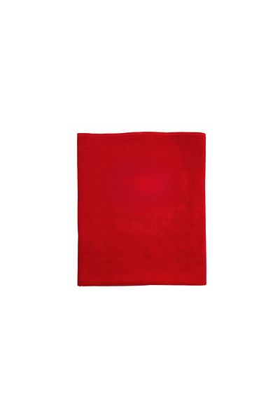 Patte Zone Polar Cat Dog Blanket