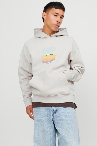 Jack & Jones JORVESTERBRO AQUA Men's Hooded Sweatshirt 12254308