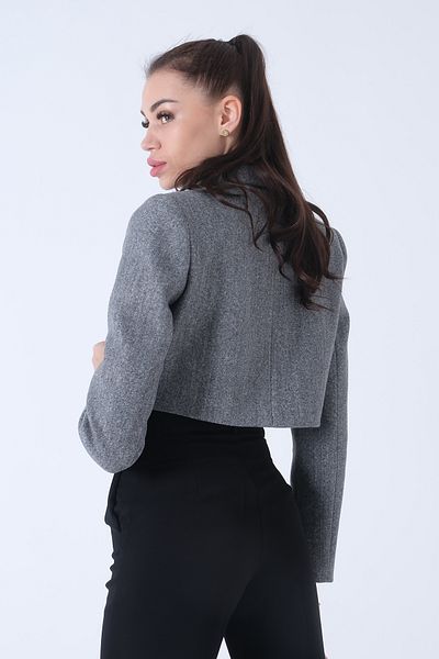 Feminist Gray Women's Double Breasted Collar Stamp Crop Lined Blazer Jacket0105125