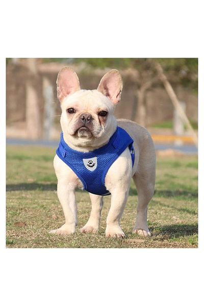FloriaShopping Breathable Reflective Body Collar for Dogs and Cats