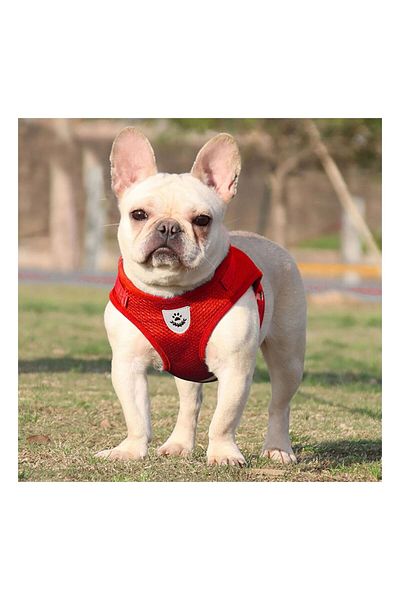 FloriaShopping Breathable Reflective Body Collar for Dogs and Cats