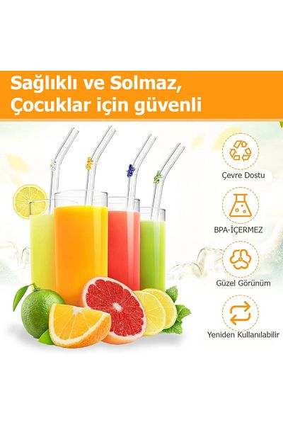 LucidRuya Set of 6 Glass Straws and 1 Cleaning Brush Set 1stQuality / 7 Mm heat-resistant glass pipette