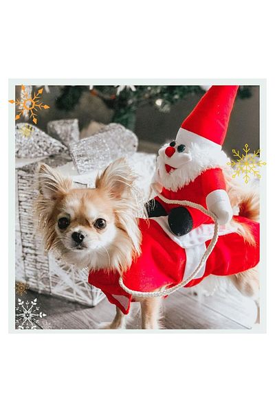 FloriaShopping Dog Cat Santa Claus Costumes