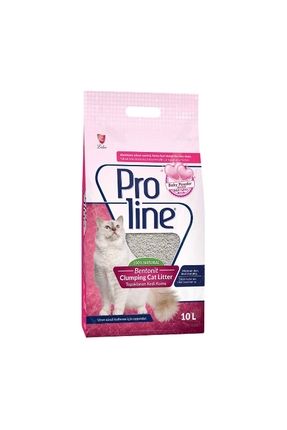 Proline pro 24 2025