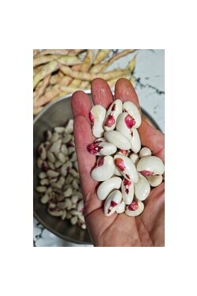 BereketliBahçem Gelin Ayşe Fasulye Tohumu (15 adet) (Sırık)