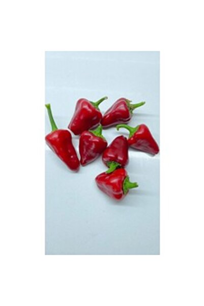 Kardola Biber (20 adet) (Acı)
