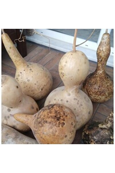 BereketliBahçem Karışık Su Kabağı Tohumu (8 adet) (Süs)