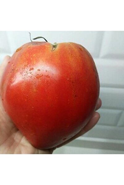 BereketliBahçem Kalp Domates Tohumu (10 adet) (Sırık)