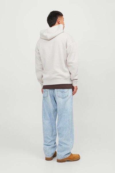 Jack & Jones JORVESTERBRO AQUA Men's Hooded Sweatshirt 12254308