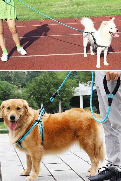 Buffer Reflective Phosphorescent Dog Walker Rope Leash Strap with 130cm Metal Hook
