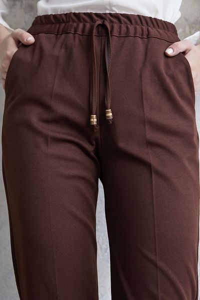 InStyle Lycra Double Fabric Trousers with Elastic Waist - Brown