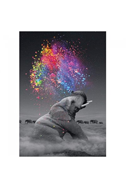 Genel Markalar Renk Yağmuru ve Fil Sayılarla Boyama Seti Kasnaklı 40 x 50 cm