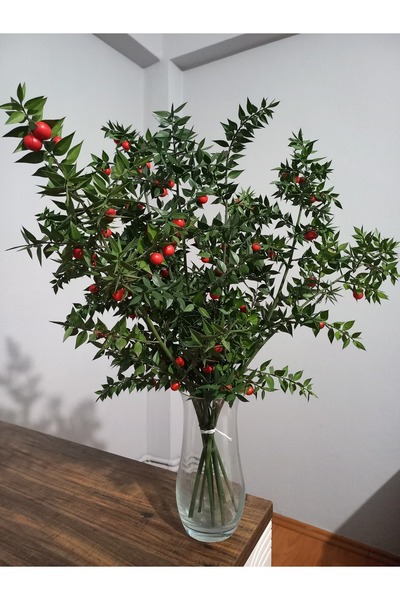 FidanMarketi Canlı Yılbaşı Çiçeği Şans Bitkisi Kokina 5 Demet 30 Dal)