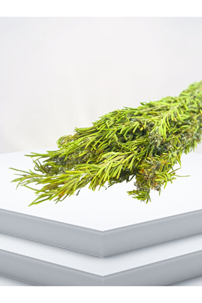 Avlu Doğal Ürünler Kurutulmuş Biberiye Demet