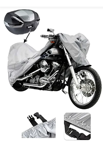 Breen Compatible with Ducati Monster 620ie GRAY MOTORCYCLE BRAND REAR BAG