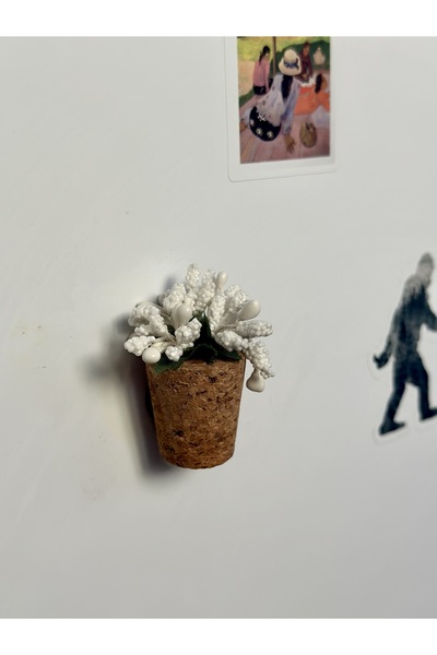 Mushroom Magnet-White Flowering