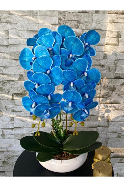 MY LOVE ÇİÇEKÇİLİK 2 قطعة زهرة أوركيد زرقاء مبللة في وعاء معدني أبيض