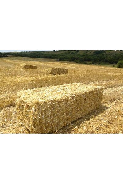 Kaya manda süt ürünleri Saman balyası dekoratif