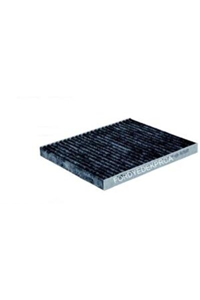 DGN Ford Fiesta Polen Filitresi Karbonlu (KLİMA) 2008-2016