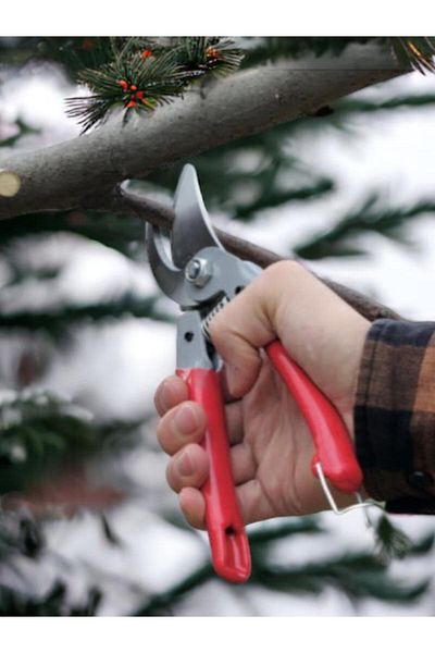 Rtrmax Pruning Shears RH05808