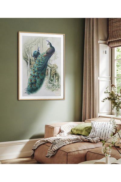 HOMEPACK Tekli Çerçeveli Tablo Tavuskuşu Seri Poster Tablo TK/237