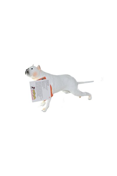 Go Toys 21616-e014 Asya, Hayvan Seti Köpekler