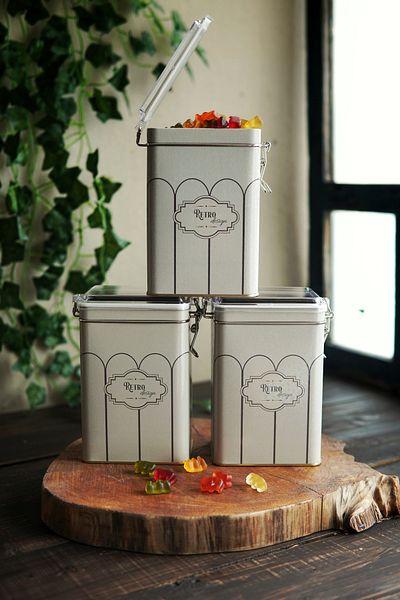 EVLE Erb21u6 Rectangular Lockable Storage Container 75x100x150 Set of 3, Retro