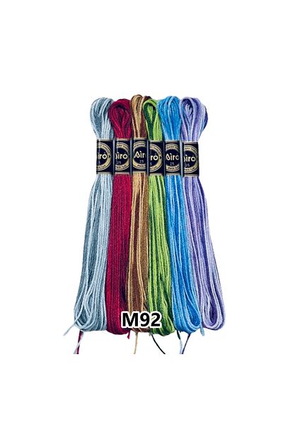 EleganTShoP Airo Muline Ebr-Sim Etamine Cotton Embroidery Thread Thread Set of 6