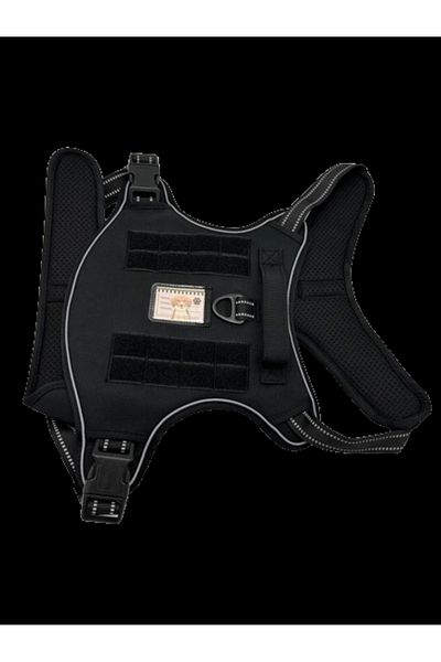 Mixpet XLarge Adjustable Large Breed Dog Walking Training Waist Collar
