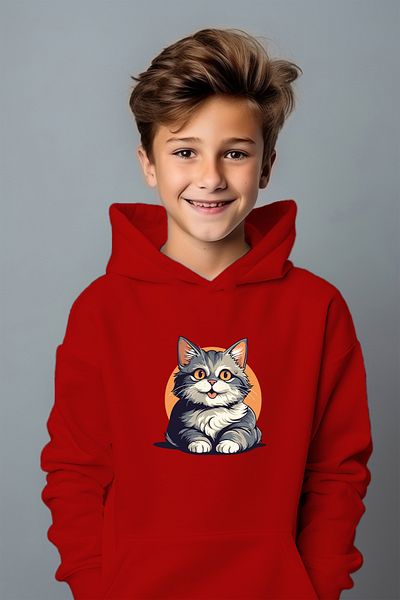 ADA BEBEK ÇOCUK Сладък суичър с щампа Tommy в стил момче
