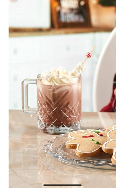 FAYA HOME Pasabahce Timeless 6-Piece Glass-Cup with Handle Glass Mug 250cc- 55462