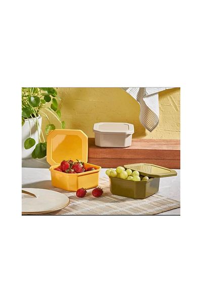Axe Tools 3-Piece Square Colored Plastic Storage Container 250 Ml