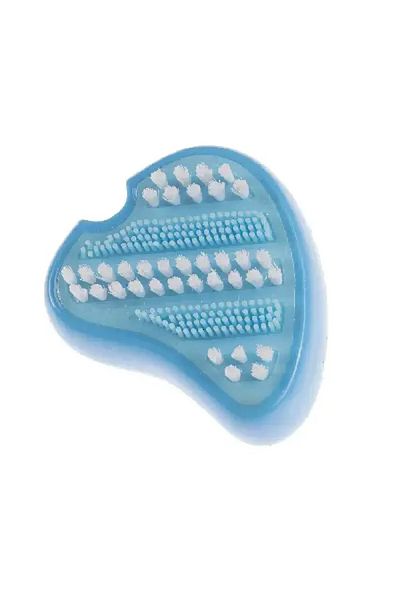Gimdog Steak Shaped Toothbrush Blue