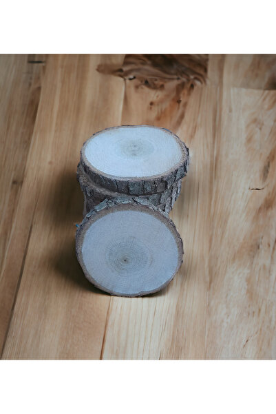aytulereltasarım Doğal Ahşap Odun Dilimi Bardak Altlığı Magnet Hobi 20 Adet
