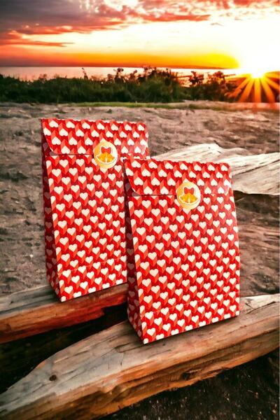 İstisna 2 Adet Özel Tasarım Yılbaşı Hediye Paketi Sevgililer Günü Hediye Paketi Kağıt Torba Sticker Hediyeli