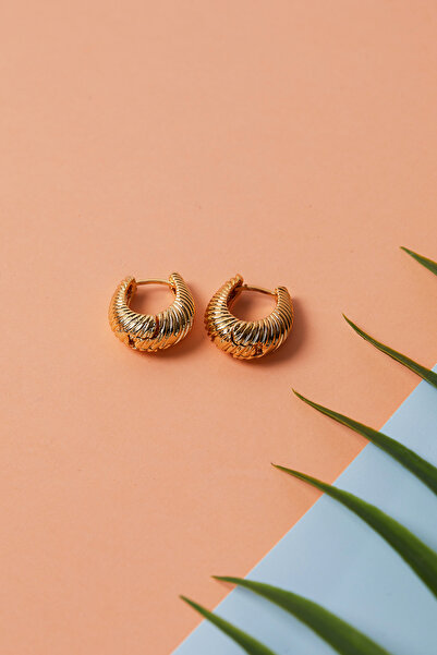 Elika Silver هوب نموذج حلق المجوهرات النسائية