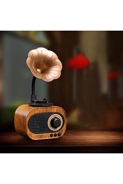 Fillikutum Nostaljik Mini Radyo Gramofon Radyo Retro Style Bluetooth Hoparlör...