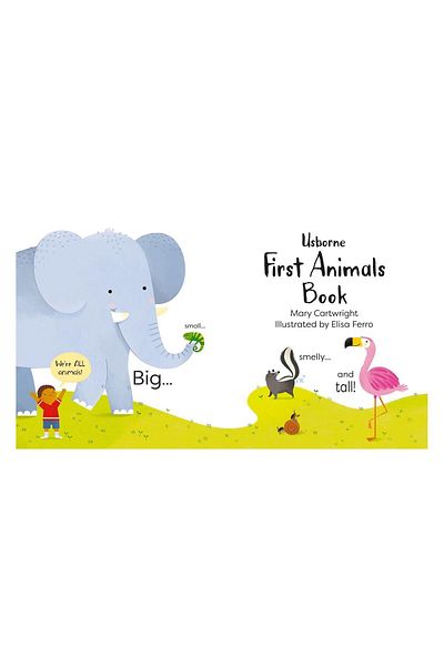 Usborne First Animals Book