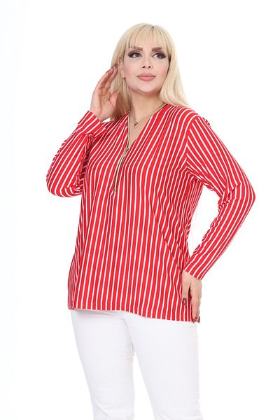 garajmood Red Striped Collar Zipper Plus Size Blouse