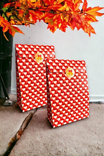 İstisna 2 Adet Özel Tasarım Yılbaşı Hediye Paketi Sevgililer Günü Hediye Paketi Kağıt Torba Sticker Hediyeli