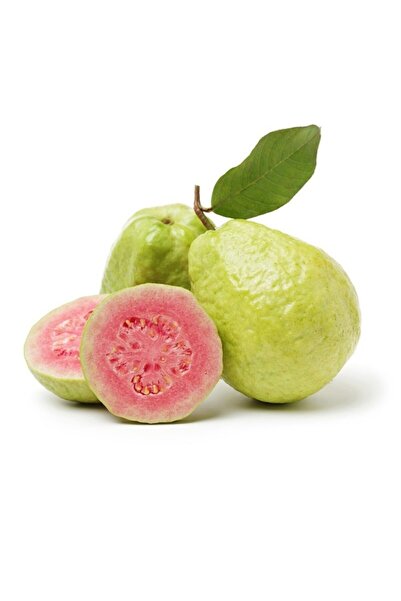 Genel Markalar Nadir Tüplü Armut Guava Fidanı Meyve Verme Yaşında