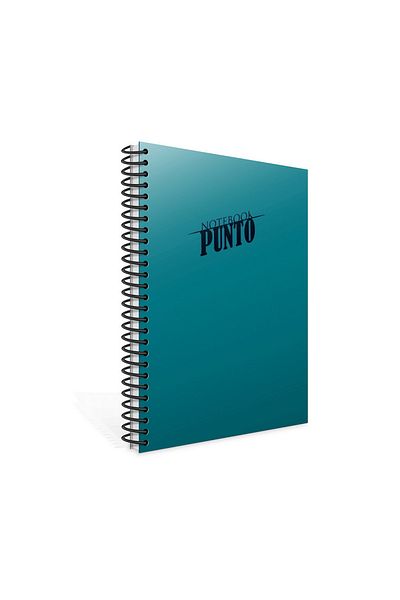 Gıpta Punto A4 160 Sheets Plastic Cover Spiral Notebook (6543) Checkered Turquoise