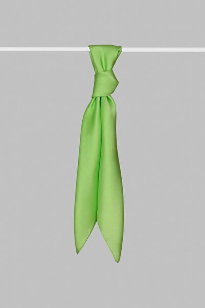 ARMANDA Women's Green Satin Silk Scarf