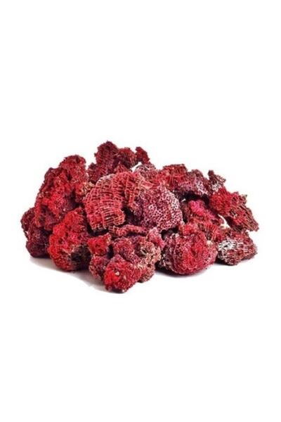 Genel Markalar Yedi Kardeş Kanı 100 Gr Krk