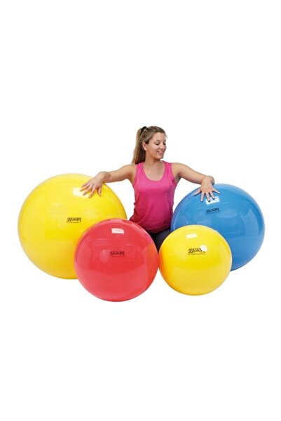Oyun Terapi Market Gymnic Egzersiz Terapi Topu 45 Cm 95.45