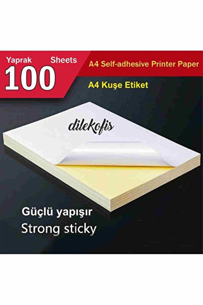 DİLEKOFİS 100 Pcs. Package A4 Coated Label